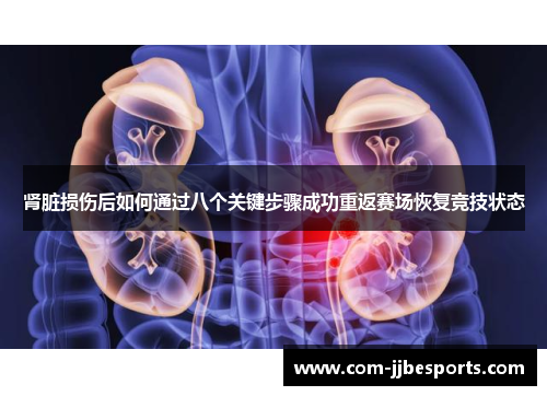 肾脏损伤后如何通过八个关键步骤成功重返赛场恢复竞技状态